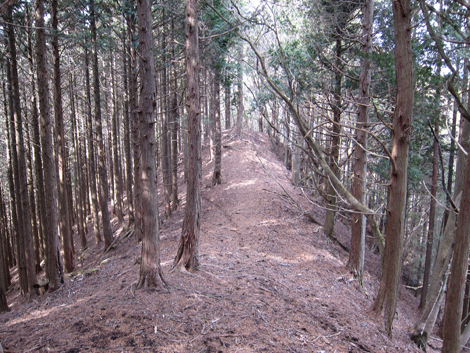 20190205hike (133)